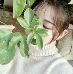 唯美小清新女生头像我所有的浪漫情怀,都在等一个人来