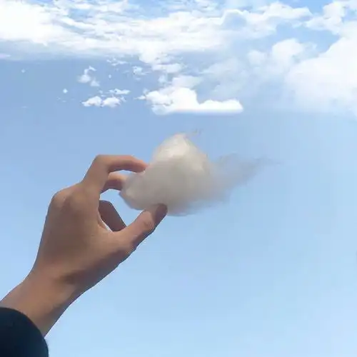 能分享一下让你觉得安心的头像或壁纸吗