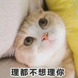 十条段子切别装了,我们家俩女人你得罪得起谁啊