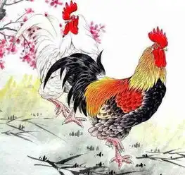 5月份起,霉运挡门外,好运迎进门的4个生肖