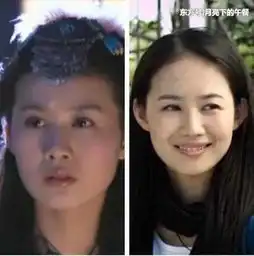 11年后神雕侠侣美女今昔对比照,小龙女仙气已消失殆尽