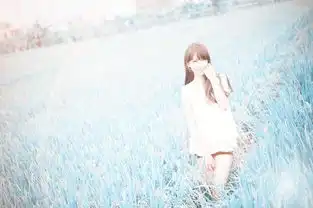 求知道什么图片或壁纸,那里可以找到求