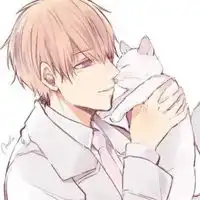 猫与少年头像少年与猫的动漫头像帅气