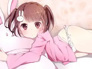 海绵纸