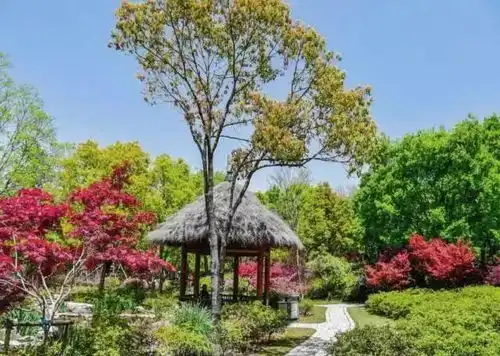 旅游并非要去韩国,3.8女王节中国这些地方免费去
