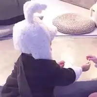 萌娃情侣头像可爱的萌娃情侣头像