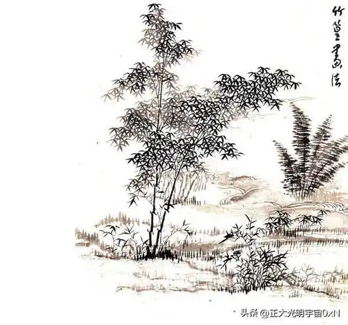 男子开车走山路,突见一座寺庙,他停车查看躲过一劫