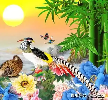 一生桃花运,中年妇女的杀手,从来都不缺女人的3大生肖男