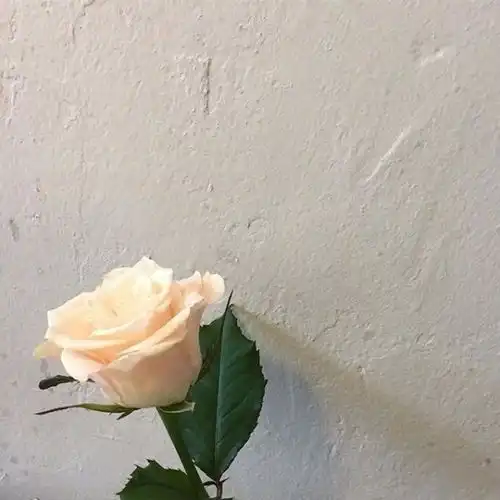 怎么才能忘掉一个很喜欢的人
