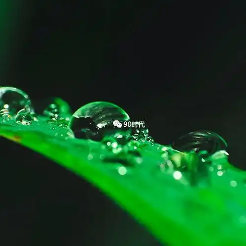 下午好头像丨微信头像吉利又好看风景图片