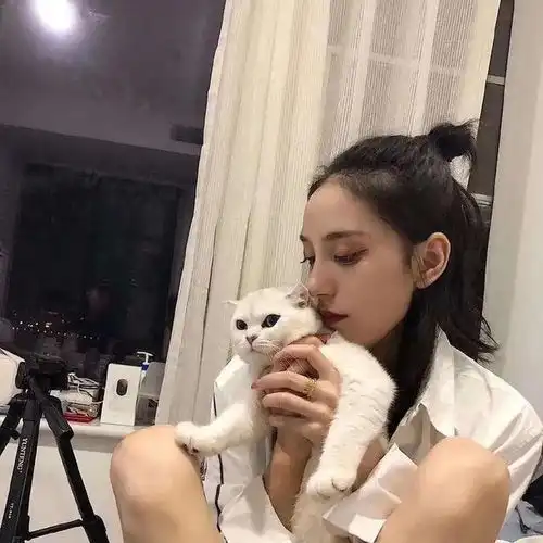 抱猫女头与你撞个满怀