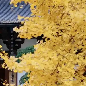 年轻人接管春节后,开始定制好运了