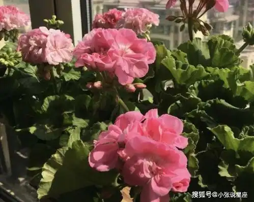 旺夫的3个生肖女,财运不断,好运连连,富贵三代人