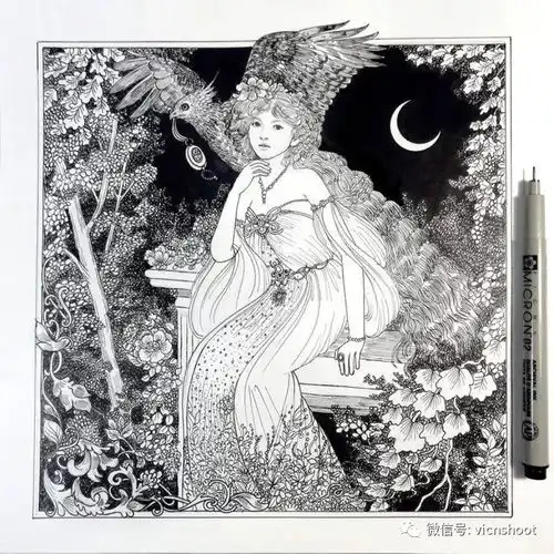针管笔黑白线描作品