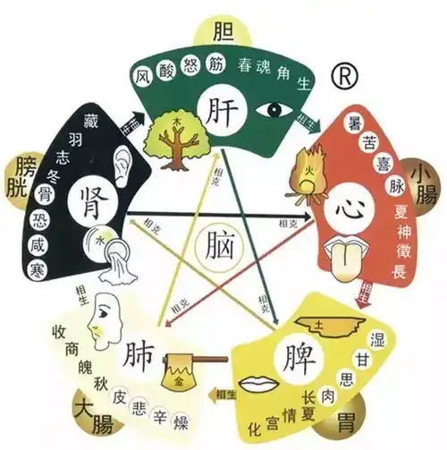 女人若不懂中医五行,擦什么化妆品都没用