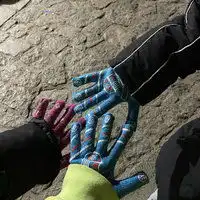 资深山东小导给各位最...小十三的此刻十六番