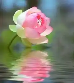 贫由吝啬起,富从布施来我,是一切的根源