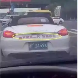 路遇保时捷,以为是富二代,看到车后的字一脸懵逼