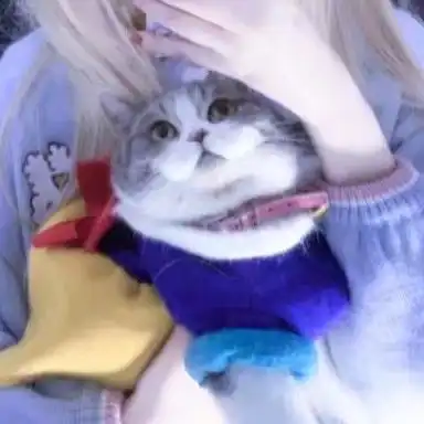 有那种不花里胡哨,不幼稚但也没有特别成熟的女生头像吗急