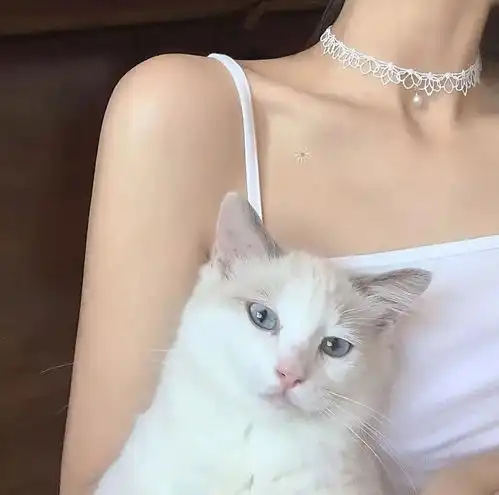 可遇不可留