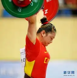 新华网(组图)