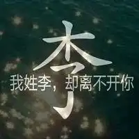一个姓氏一句话头像李微信头像图片大全