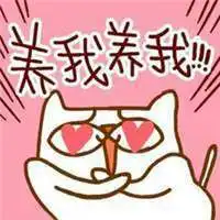 属羊女聚财花头像微信头像图片大全