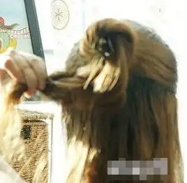 韩式辫子盘发步骤扎出夏日小清新