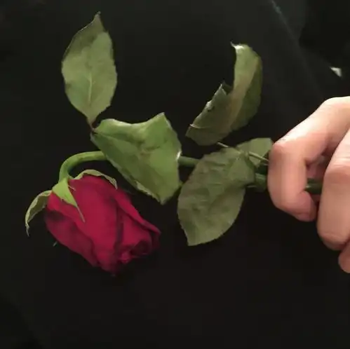 背景手拿花的背景图