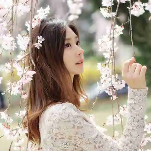 西野七濑变花仙子人比花娇