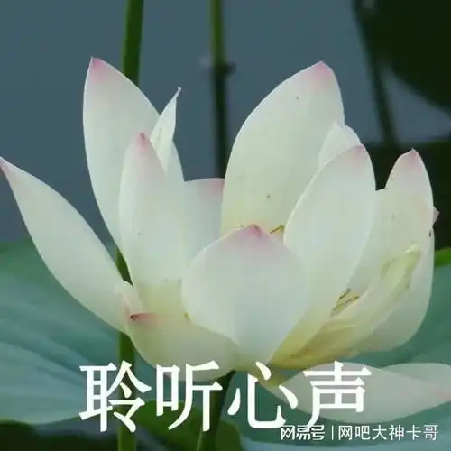 十年过渡期即将终结,中人养老金收入差额大