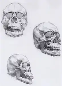 素描90分,素描头像结构标准的画法