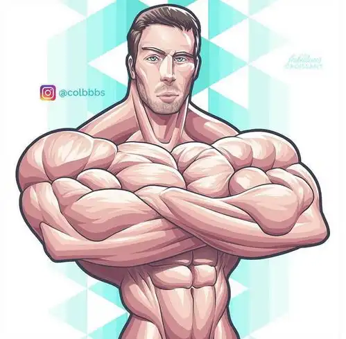 健身手机壁纸卡通版肌肉男壁纸下载完美的身体