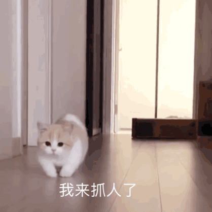 女生聊天必用的表情包
