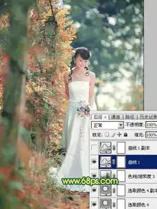 设计经验教程分享素材中国文章jy.sccnn.com