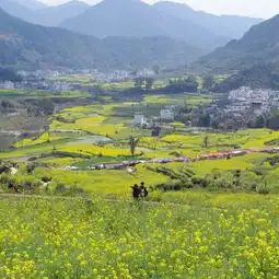 婺源游记