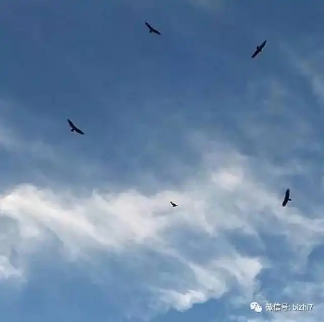 2017朋友圈背景图片大全