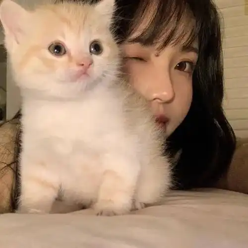 百看不厌的女生头像第二组