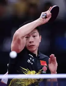 狂飚龙系列,为马龙量身定制的球板国球汇