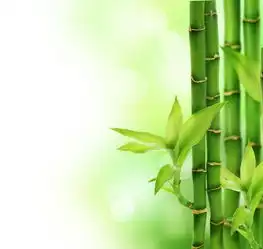 易道玄竹与风水