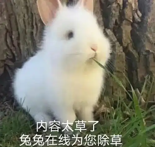 真的希望你永远不懂